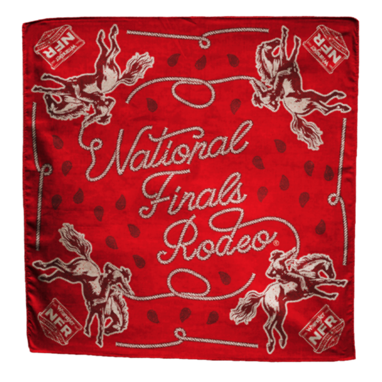 2024 Vintage Rodeo Bandana